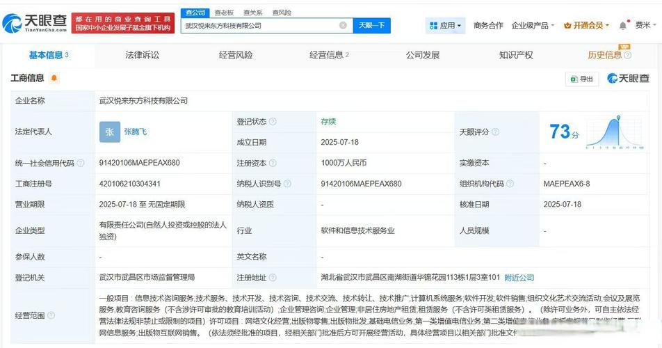 经营范围包括信息技术咨询服务,计算机系统服务,软件开发,软件销售